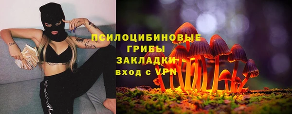 a pvp Абаза