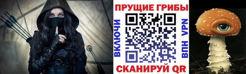 Псилоцибиновые грибы Psilocybine cubensis  как найти наркотики  Сокол 