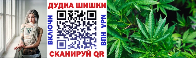 MEGA вход  Сокол  Конопля семена  где купить наркотик 